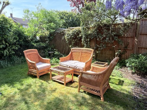 Beautiful vintage cane - beautiful,